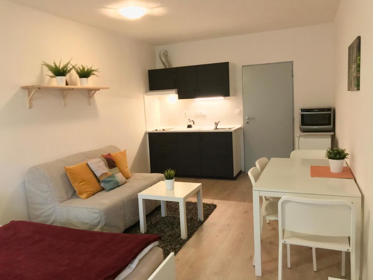 Certovka Trojka - Apartman Harrachov Buitenkant foto