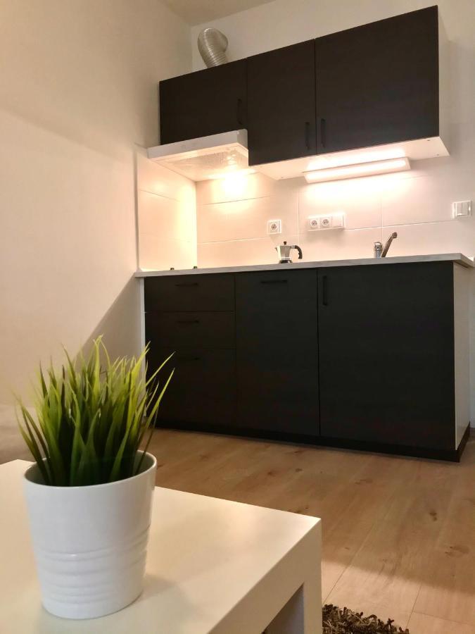 Certovka Trojka - Apartman Harrachov Buitenkant foto