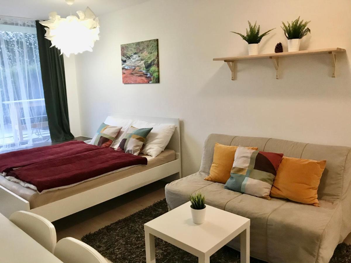 Certovka Trojka - Apartman Harrachov Buitenkant foto
