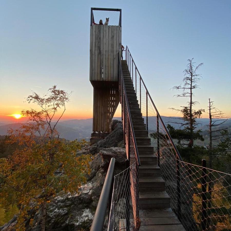 Certovka Trojka - Apartman Harrachov Buitenkant foto